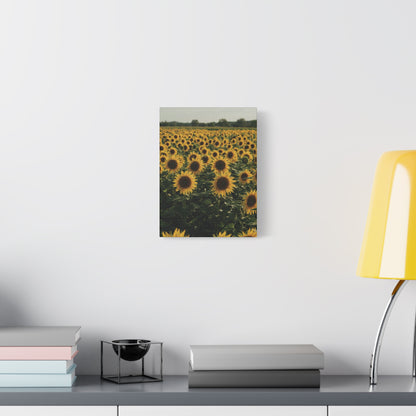Sunflower Field Canvas Wall Art