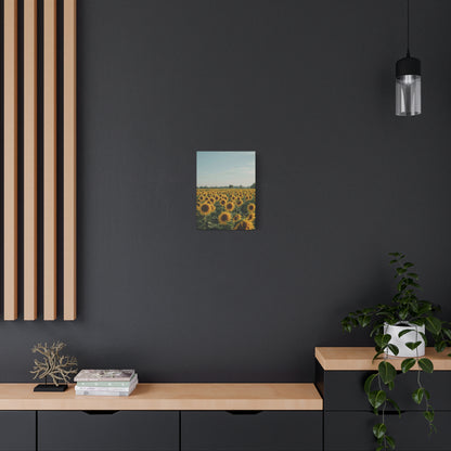 Sunflower View Canvas Wall Art