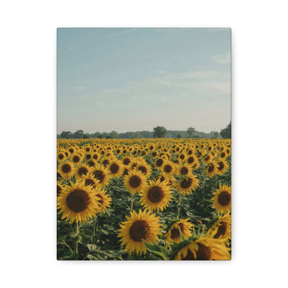 Sunflower View Canvas Wall Art