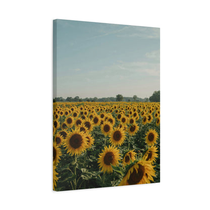 Sunflower View Canvas Wall Art