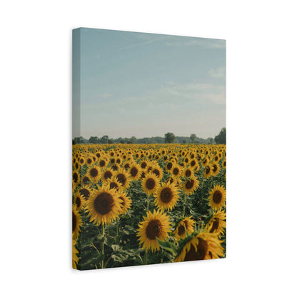 Sunflower View Canvas Wall Art